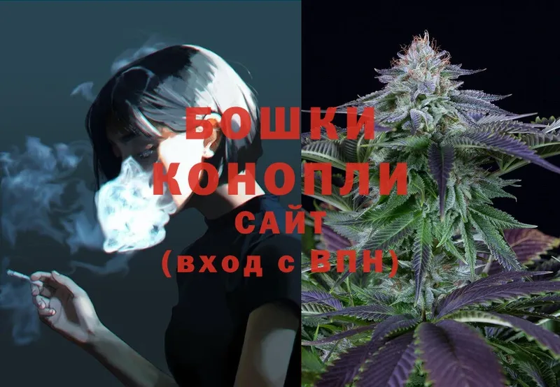 Канабис OG Kush  Волхов 